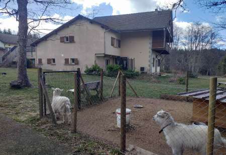 ensemble immobilier avec emplois