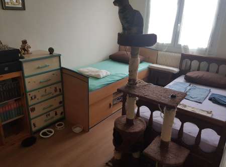 Pr JF,F cherchant où dormir et de la stabilité